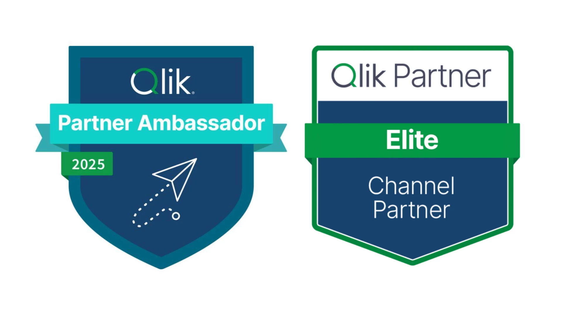 2025 Qlik Partner Ambassador and Elite Partner