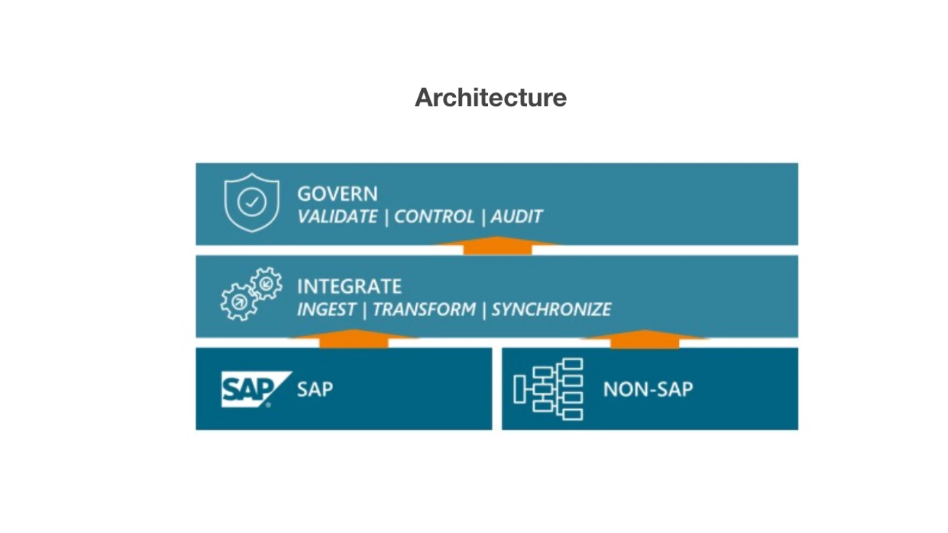 SAP Data Architecture